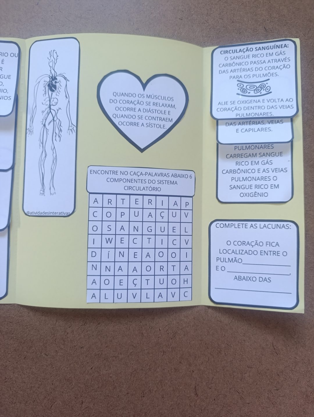 LAPBOOK - SISTEMA CIRCULATÓRIO - Image 2