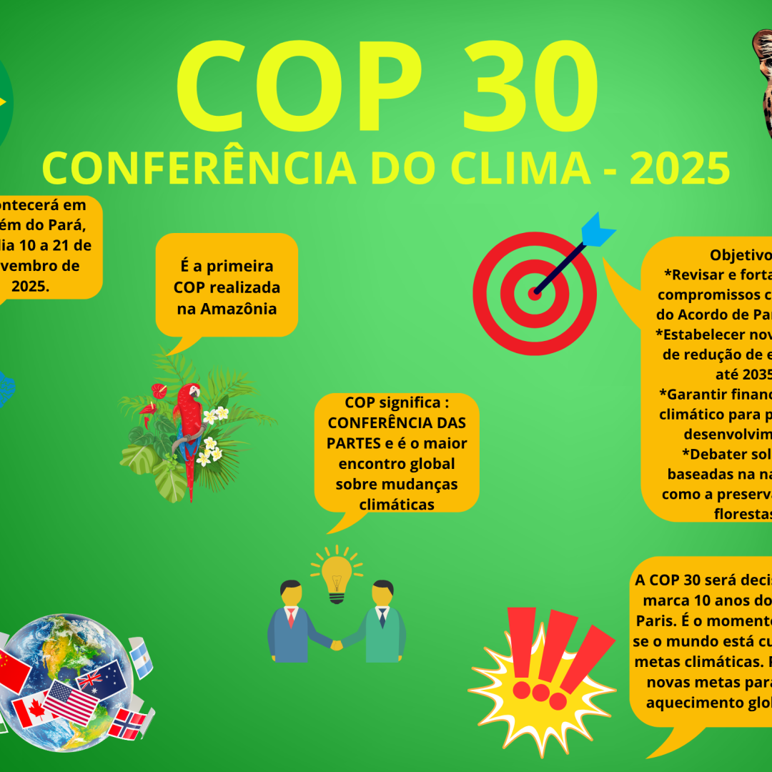 PAINEL COP 30